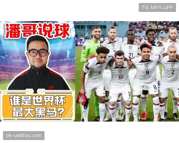 世界杯D组黑马球队夺冠前景分析 世界杯D组黑马球队夺冠前景分析